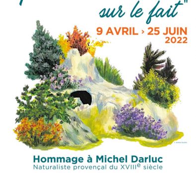 Exposition “Prendre la nature sur le fait”