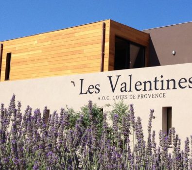 Guided tour: Life in rosé at Château les Valentines