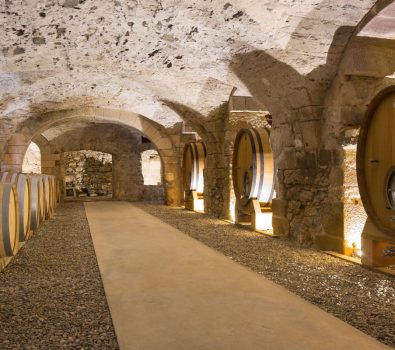 Guided tour : From the vine to the wine tasting at the monastic castle of Bormettes