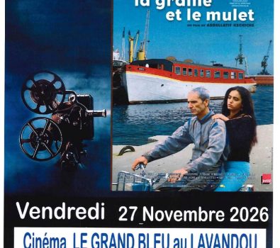 Movies – Screening of the movie “La graine et le mulet”