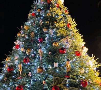 Launch of the illuminations and opening of the Christmas market