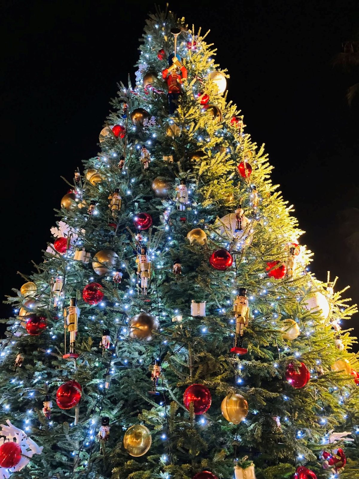 Launch of the illuminations and opening of the Christmas market_Le Lavandou